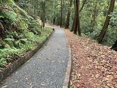 -广州市白云山风景名胜区