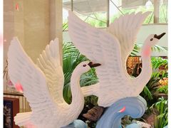 -白天鹅宾馆·流浮阁咖啡厅