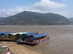 -北岐滩涂