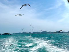 -海驴岛(荣成市)