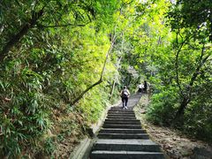 -火炉山森林公园