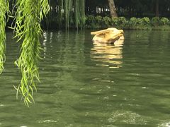 -索菲特西湖大酒店·香榭丽全日候餐厅(南山路店)