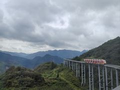 -玉舍国家森林公园