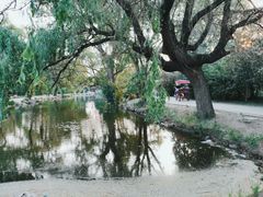 -北陵公园