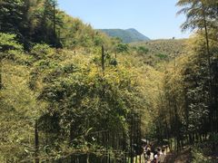 -藏龙百瀑风景区