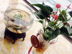 iphone_upload_pic-秦美花卉(天朗·莱茵小城2期店)