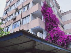 -四川大学(望江校区)