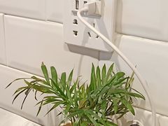 -晓鲜熊猫烤鱼烤吧(西三旗百汇北门店)