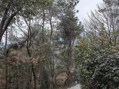 -虞山风景区