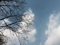 -龙潭水乡