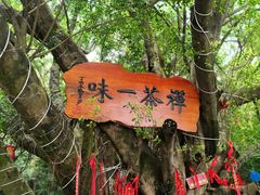 -三水森林公园