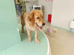 -怪兽屋·羊驼·猫咖·狗咖(俊华广场店)