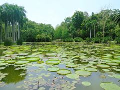-中国科学院西双版纳热带植物园