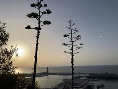 -小巴塞罗那海滩