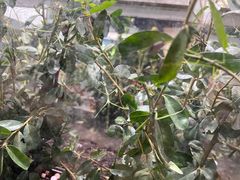 -上海昆虫博物馆