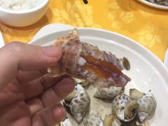 -老字号蛇口德记烧腊饭店·海鲜加工