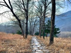 -妙峰山风景名胜区