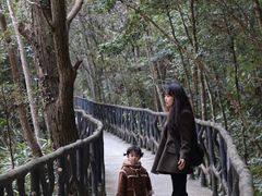 -龙湾潭国家森林公园