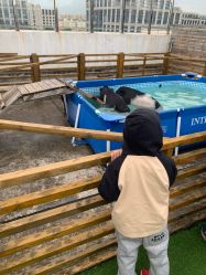 -小蜜蜂农场(凯德七宝购物广场店)