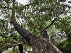 -西湖外事游船(湖滨二公园外事游船码头)