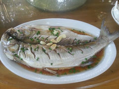 android_upload_pic-四季园农家乐