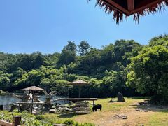 -宁波野生动物园