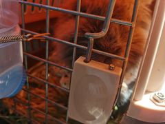 -雨林宠物医院 非犬猫异宠专科
