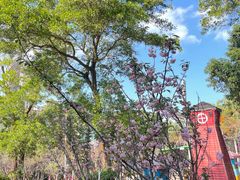 -求水山公园