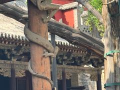 -晋祠公园