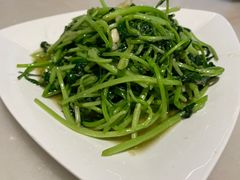 蒜蓉鸡毛菜-华盛丰温州大排档(东三环南路店)