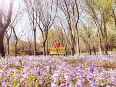-森林公园(尖草坪区)