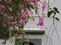 -深圳国际园林花卉博览园