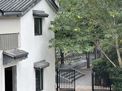 -简象咖啡CAFE ELE JANE(满陇桂雨店)
