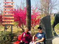 -渭南桃花源民俗文化园