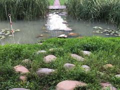 -柳鹭田园区