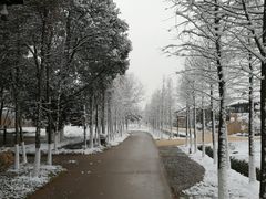 -乌村