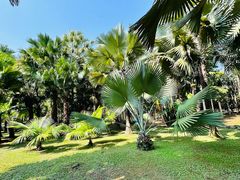 -中国科学院西双版纳热带植物园