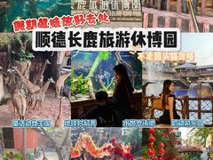 -长鹿旅游休博园