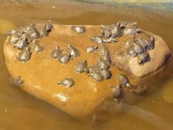 -酷嗒动物文化乐园(cutezoo西溪乐天城店)