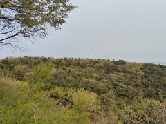 -棒棰岛宾馆景区