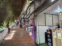 -金马仑薰衣草花园(Cameron Lavender)