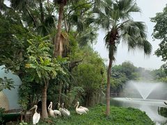 -深圳野生动物园