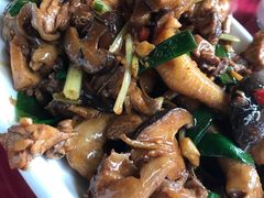 -生态苑农庄(十里画廊遇龙河店)