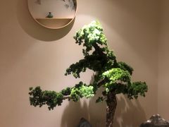 -璞禅足道(观音桥旗舰店)