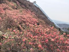 -木兰云雾山