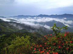 -永州阳明山国家森林公园