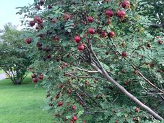-春晖园度假酒店温泉