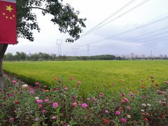 -嘉北郊野公园