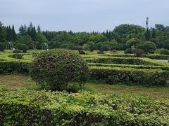 -洛阳市隋唐城遗址植物园