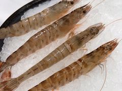 -红鼎豆捞·非遗鲍皇汤火锅(宝丰路店)